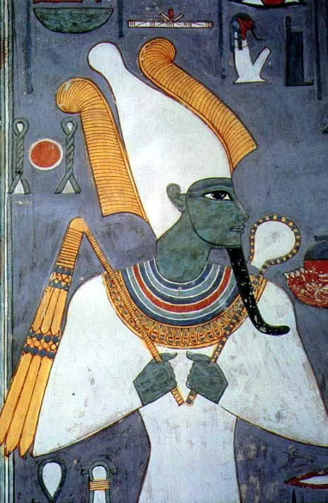 rikavon dmt