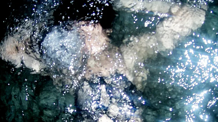 Arca – Xen – האנדרואידית שלוחשת לך באוזן מילות אהבה לפני השמדתה.