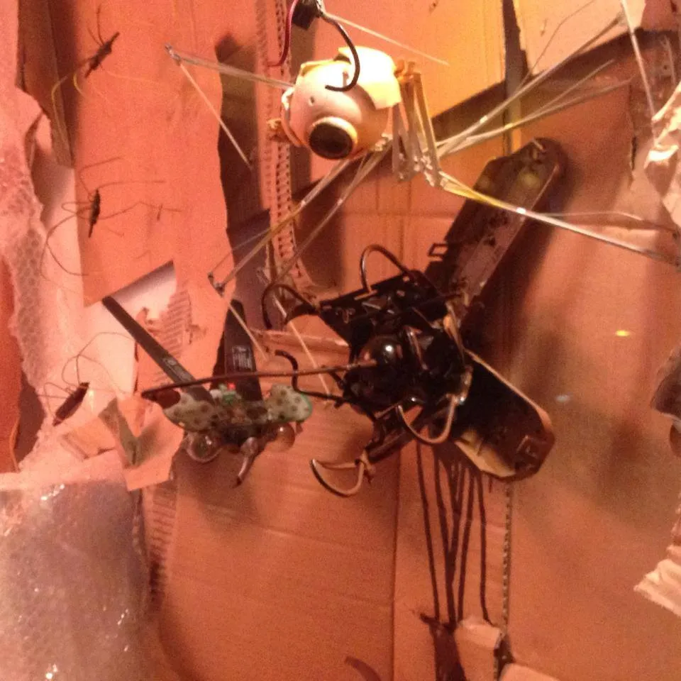 bugs by natalie